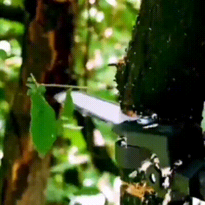 RhinoSaw™